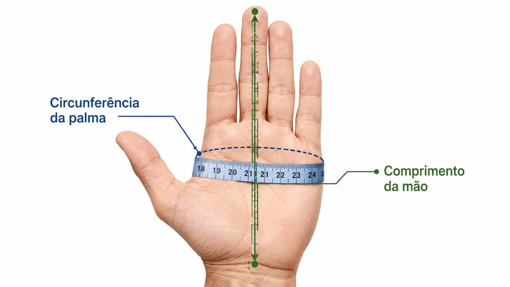 circunferencia - Tamanho de luva de segurança: como medir e definir o ajuste Como medir a circunferência da palma e o comprimento da mão para escolher o tamanho da luva de segurança