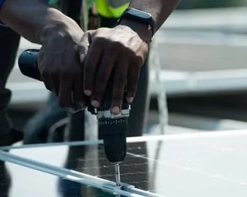 zanel-pela-sustentabilidade